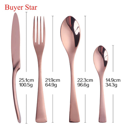 Saphira Stainless Steel Cutlery  Set